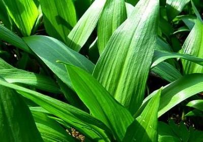 相信宿命的经典句子(必备40句)