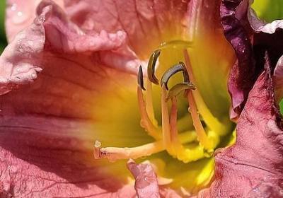 疲惫的句子(热门39句)