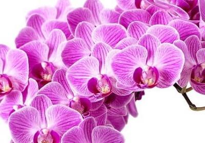 相互信任的句子(必备40句)