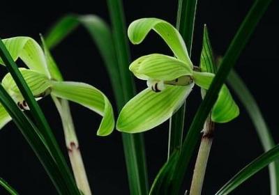 疯狂工作的句子(合集76句)