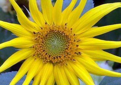 痛苦的爱情句子(热门40句)