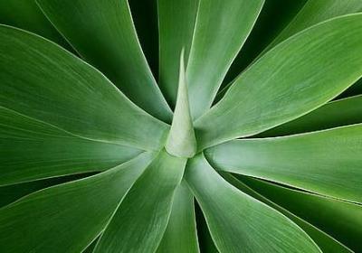 疼爱的句子(68句)