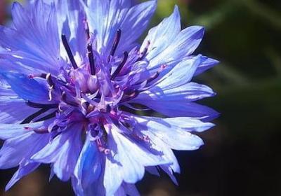 看透社会现实的句子(实用40句)