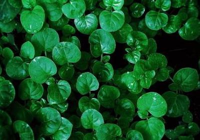 相信自己能行的句子(热门50句)