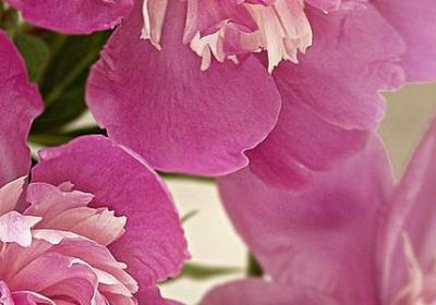 疲惫的句子说说心情(实用67句)