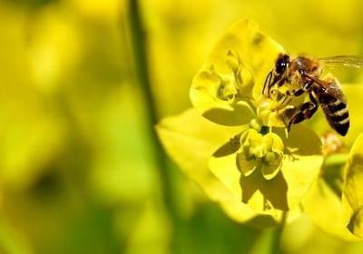 真心付出的句子(实用60句)