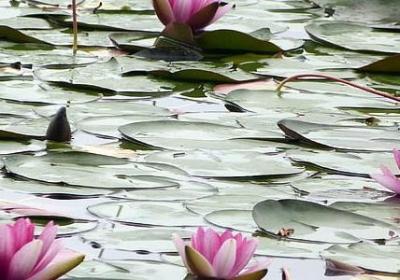 相识的句子(实用70句)