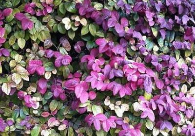 看电视的句子(汇总70句)