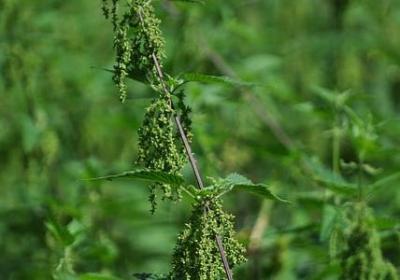 相互尊重的句子(通用90句)