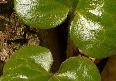 看了让男人心疼的句子(40句)