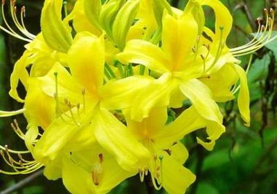 盼望老公回家的句子(通用70句)