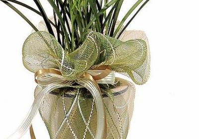 疯狂的句子(50句)