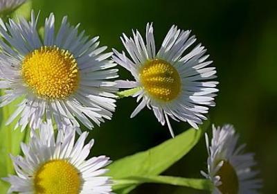 盼望下雨的句子(实用80句)