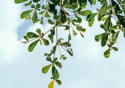 相忘于江湖的句子(热门60句)