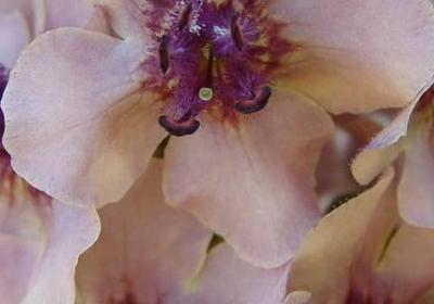 疲惫不堪的句子(精选20句)