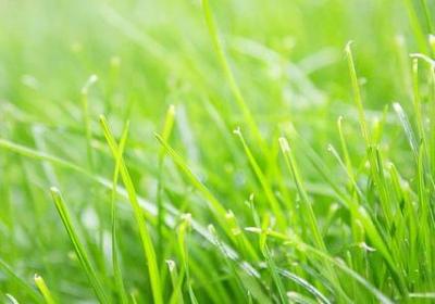 祈求顺利的句子(必备60句)