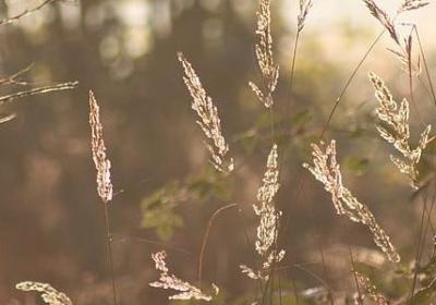 祝朋友新店开业的句子(热门40句)