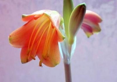 真心找女朋友的句子(热门50句)