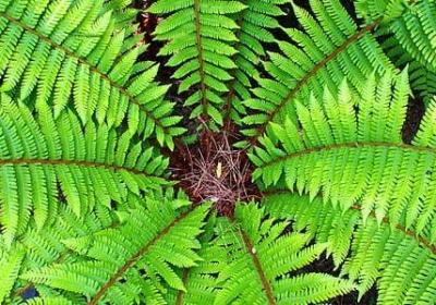 社会人生感悟的句子(推荐60句)