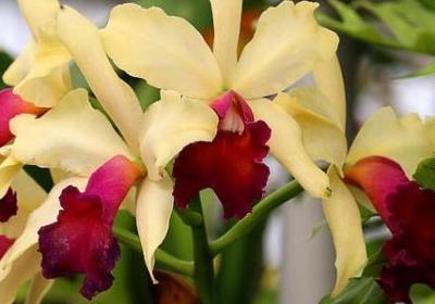 真心感谢朋友的句子(精选70句)