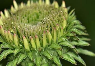 眼睛重要性的句子(实用60句)