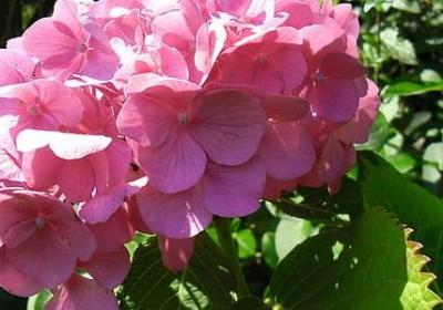 知己难求的句子(优选70句)