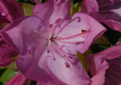 祝朋友五一快乐的句子(实用50句)