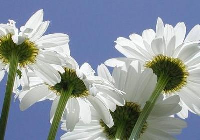 祝朋友一路顺风的句子(共50句)