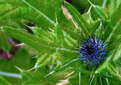 祈祷上天保佑的句子(通用50句)