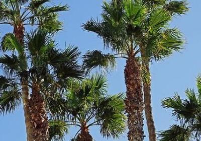 碌碌无为的句子(推荐20句)