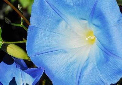 真心被辜负的句子(汇总40句)