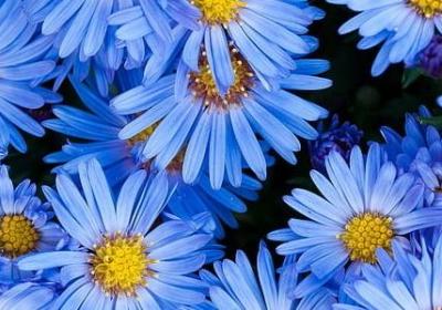 破坏环境的句子(必备20句)