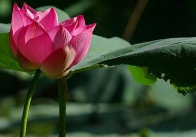 祝学业有成的简短句子(热门80句)