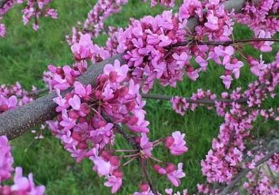 真诚向别人道歉的句子(推荐51句)