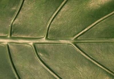 瞌睡的句子(必备40句)