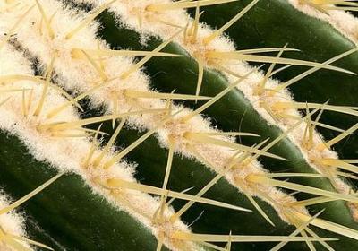 社会的句子(汇总20句) 社会的句子(汇总20句)