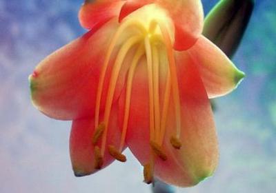 祝愿个人前程好的句子(合集50句) 祝愿个人前程好的句子(合集50句)