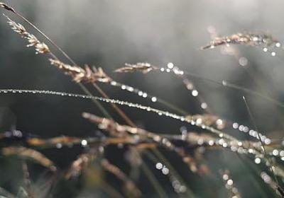 睡不着的句子(70句) 睡不着的句子(70句)