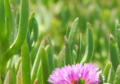 祝人生日快乐的句子(90句) 祝人生日快乐的句子(90句)