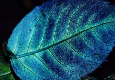 真心换真心的唯美句子(通用80句) 真心换真心的唯美句子(通用80句)