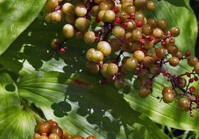 真心换真情的句子(精选90句) 真心换真情的句子(精选90句)