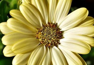 祝人高考成功的句子(优选80句) 祝人高考成功的句子(优选80句)