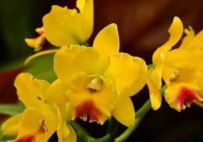 短一点的句子(必备40句)