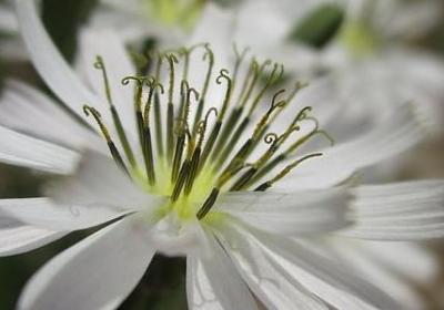 祝别人好的句子(8句)