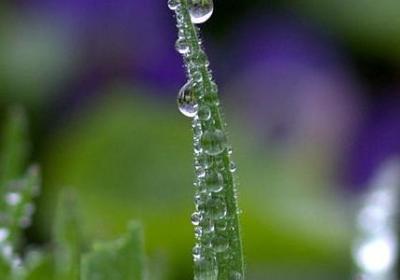 祈祷病人康复的句子(必备40句)