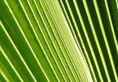 祝别人新婚快乐的句子(通用50句)