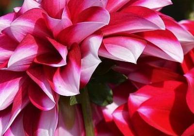 真诚待人的优美句子(精选89句)