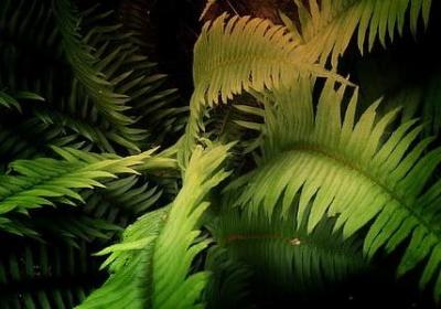 真诚的句子经典语录(合集15句)