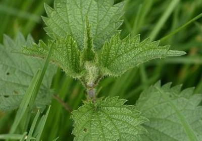 祈求安拉的句子(通用51句)