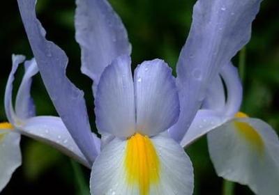 真心相爱的句子(推荐68句)